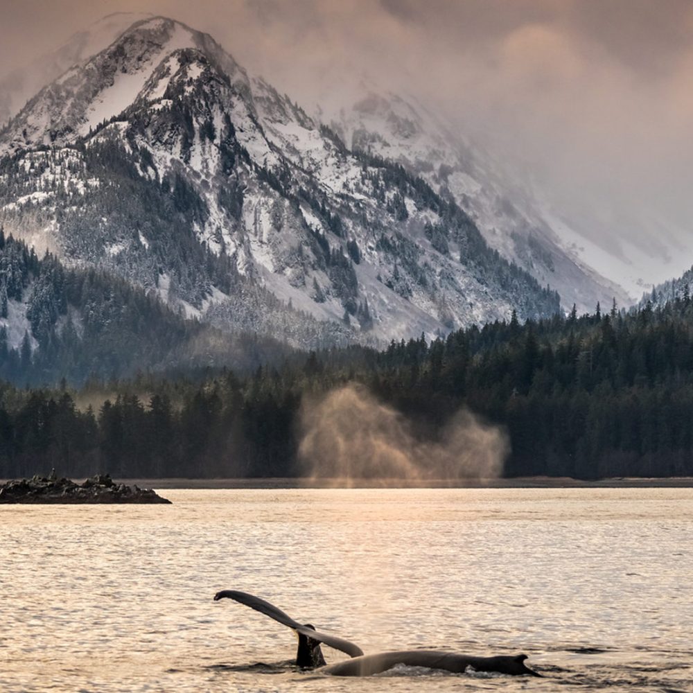 we-cruise-frederick-sound